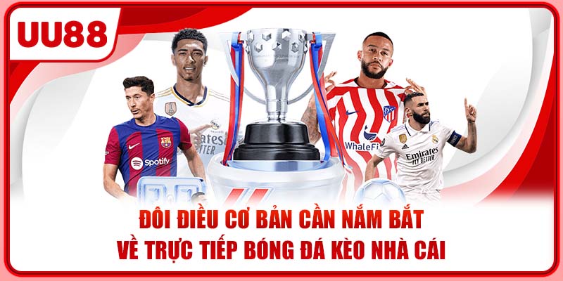 Đôi điều cơ bản cần nắm bắt về trực tiếp bóng đá kèo nhà cái Đôi điều cơ bản cần nắm bắt về trực tiếp bóng đá kèo nhà cái