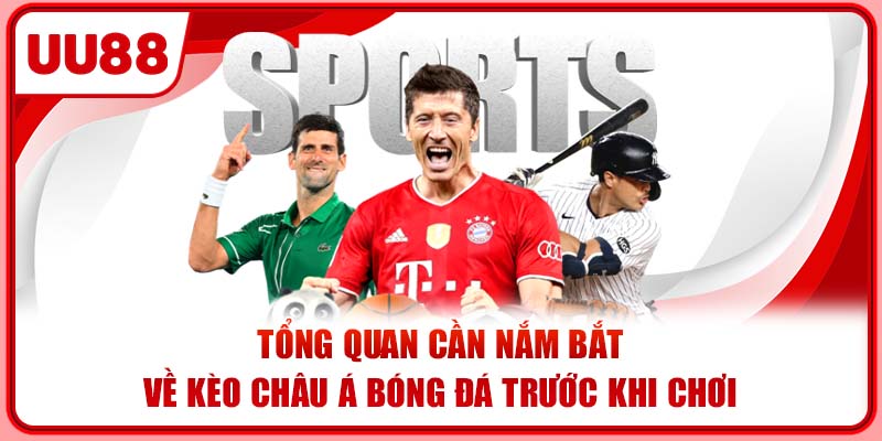 Tổng quan cần nắm bắt về kèo châu Á bóng đá trước khi chơi Tổng quan cần nắm bắt về kèo châu Á bóng đá trước khi chơi