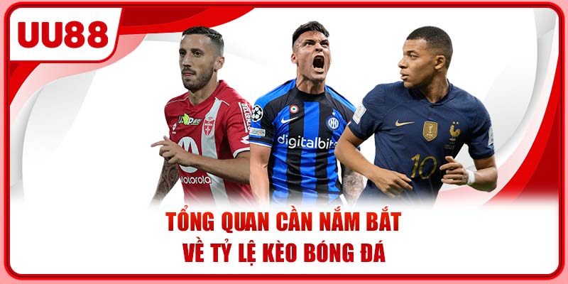 Tổng quan cần nắm bắt về tỷ lệ kèo bóng đá Tổng quan cần nắm bắt về tỷ lệ kèo bóng đá