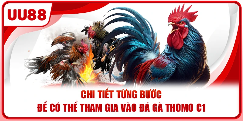Chi tiết từng bước để có thể tham gia vào đá gà Thomo C1 Chi tiết từng bước để có thể tham gia vào đá gà Thomo C1