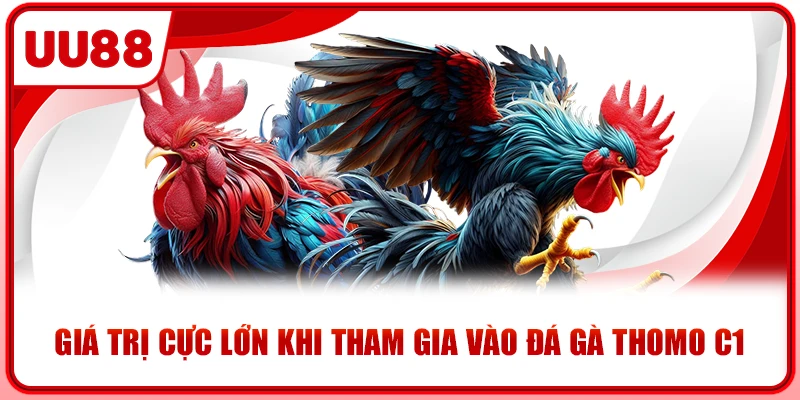 Giá trị cực lớn khi tham gia vào đá gà Thomo C1 Giá trị cực lớn khi tham gia vào đá gà Thomo C1